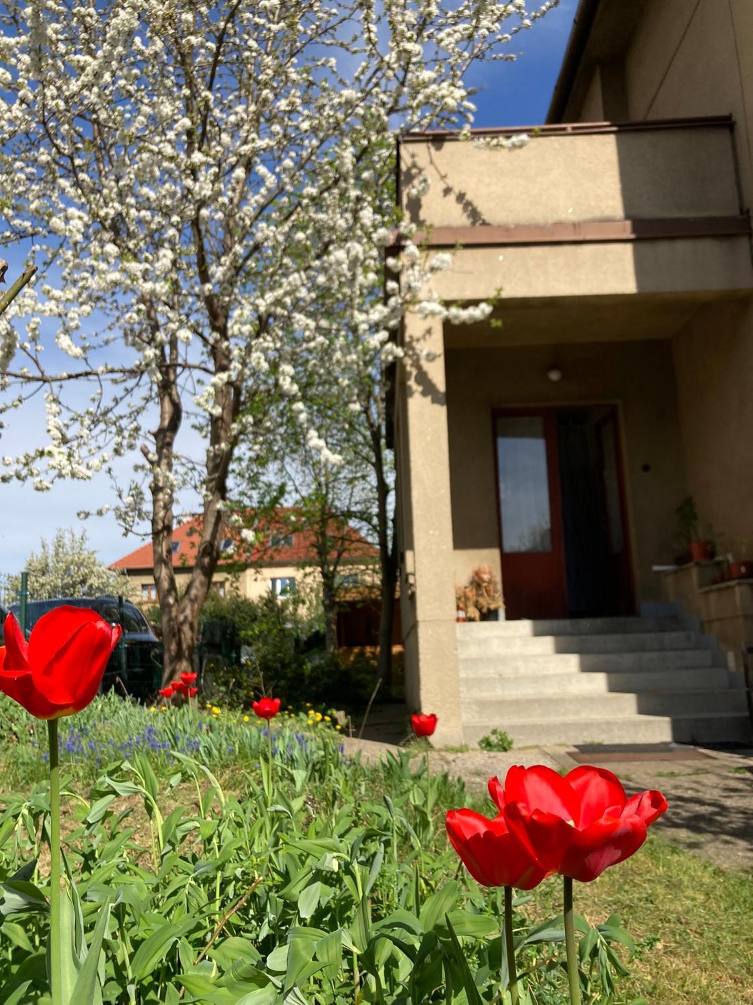 Spacious Apartment - Free Parking! Prague Exterior photo